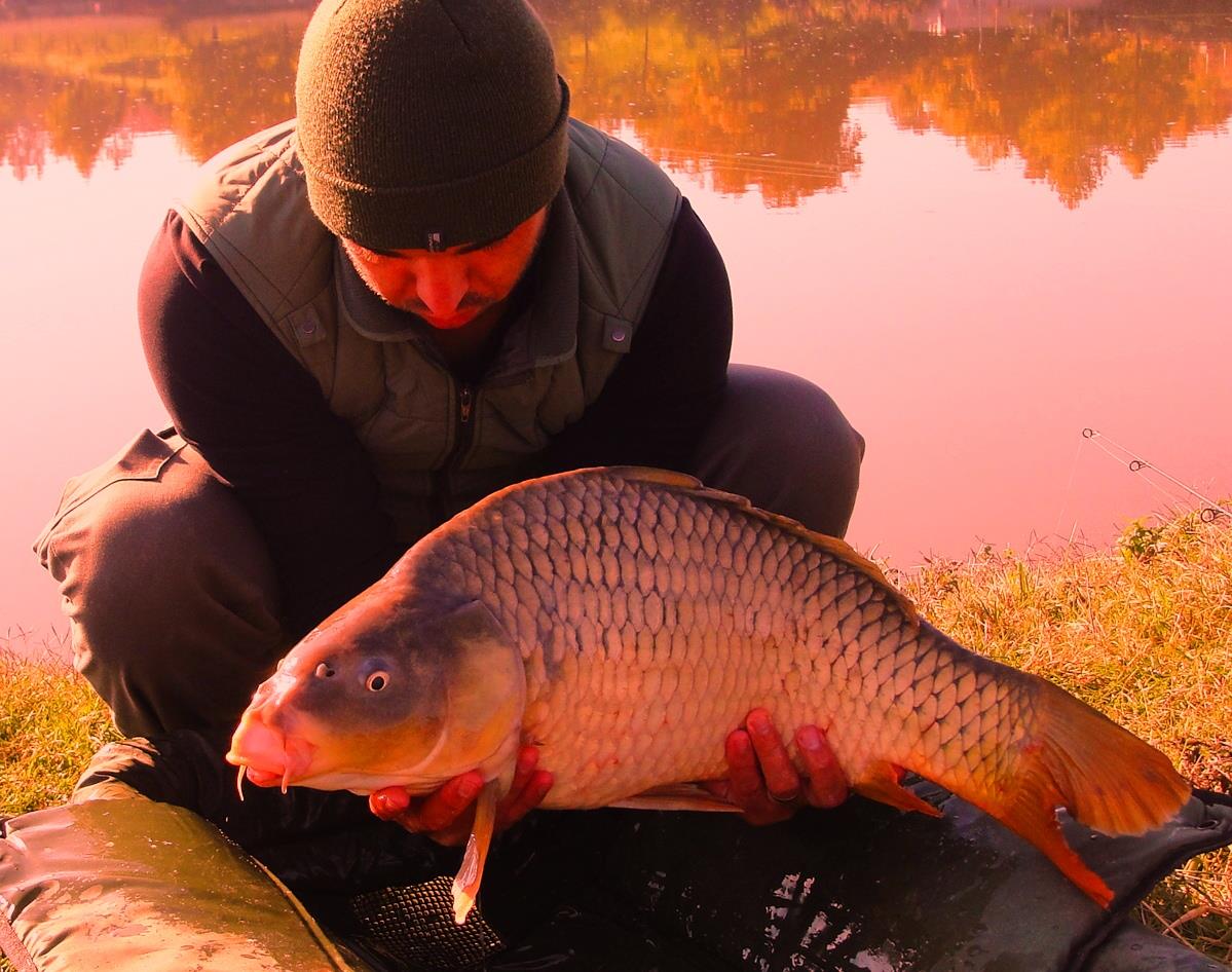 Moara Vlasiei 2 6 - 6 oct. - dsc02719.JPG